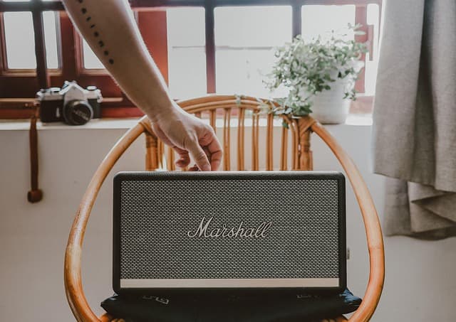 Marshal Speakers
